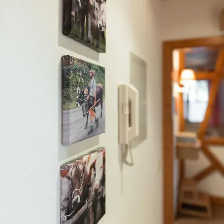Huettenzauber Apartment *